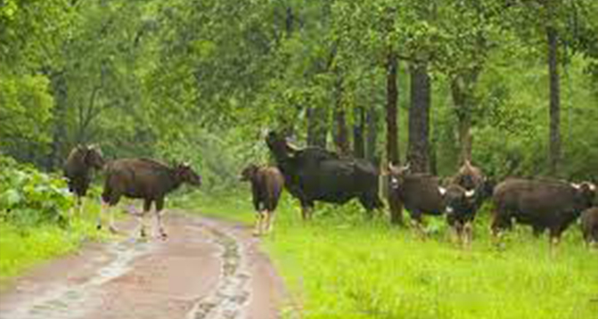 Dajipur Wildlife Sanctuary - 75 kms