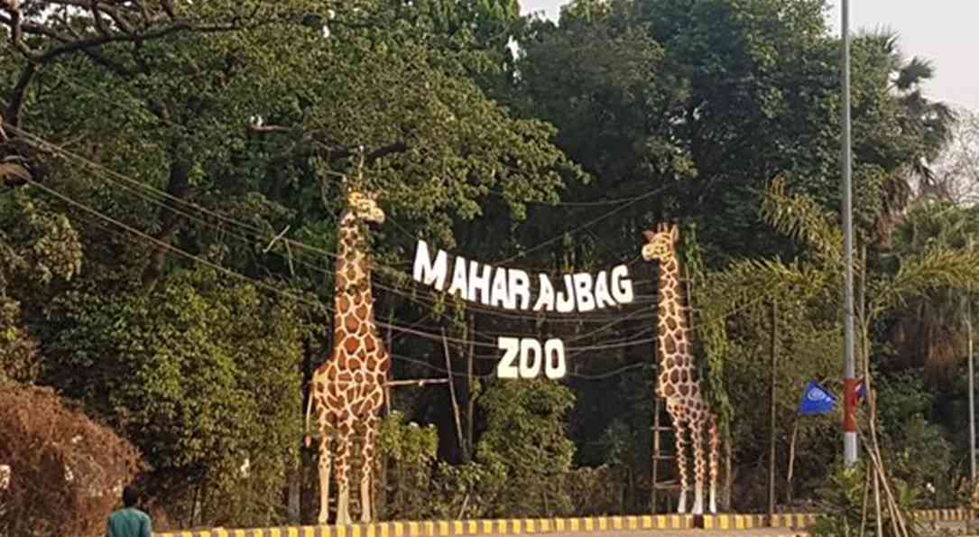 Maharajbagh Zoo - 6KM